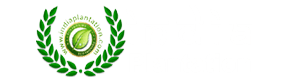 Plant Nursery Online India Plantation Best Plant Nursery Online
