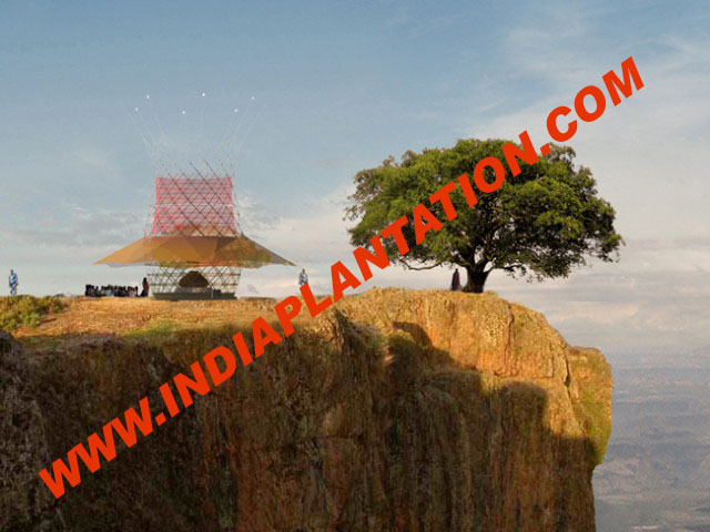 Bamboo-Tower-2-640x480 copy