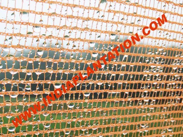 Bamboo-Tower-5-640x480 copy