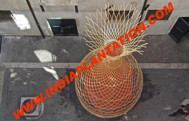 Bamboo-Tower-7-640x410 copy